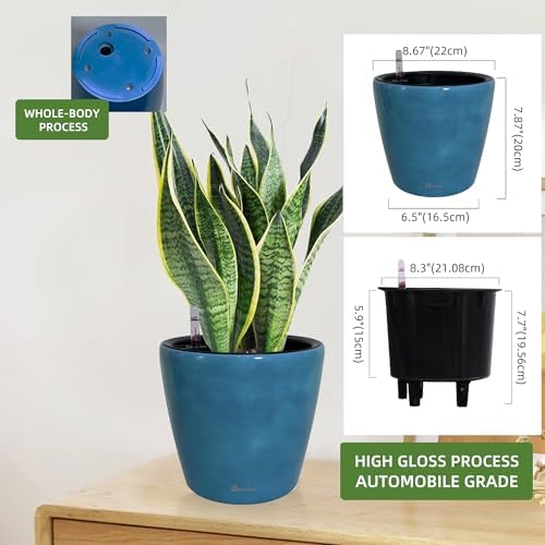 Dexceder 9x8 Self Watering Planter (Peacock Blue Gradient) - Image 3