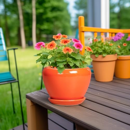 Ceramicfor Ceramic Plant Pot 6 Inch - Ceramic Planter for Indoor Plants Outdoor, Glaze Round Modern Flower Pot with Drainage Hole and Saucer, Gift for Plant Lover, Home Garden Room Decor, Orange - Image 4