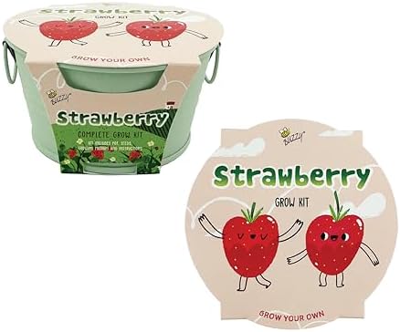 Buzzy Seeds Alpine Strawberry Grow Kit, Metal Basin Planter, Indoor by BUZZY
