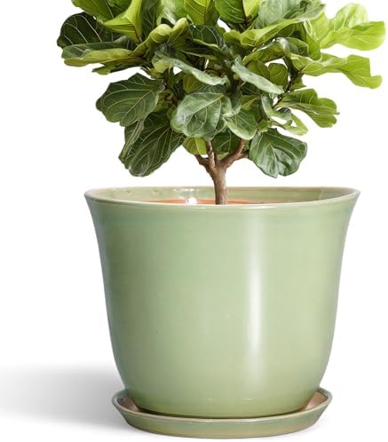 Ceramic Planter - 12 Inch Plant Pot for Indoor Outdoor, Round Planter with Drainage Hole and Saucer, Large Plant Pot, Modern Flower Pots, Home Garden Apartment Decor, Gardening Gifts, Green by SUNPOTFOR