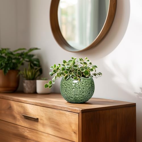 Ceramic Plant Pots - 4 inch Plant Pot with Drainage Hole, Small Pots for Plants Indoor Outdoor, Unique Round Planter, Modern Decorative Flower Pot, Room Decor, House Warming Gifts, Green - Image 6
