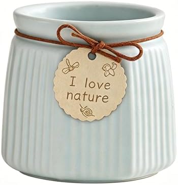 Pastel Ceramic Succulent Pots, Small Mini Flower Planter Pots with Jute Tag, Decorative Indoor Cactus Plant Container for Home Windowsill Desktop Decor (Blue) by Unknown