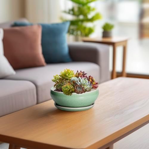 SQOWL Succulent Pots 6 Inch - Ceramic Bonsai Planter for Indoor Plants Outdoor, Shallow Planter with Drainage Hole and Tray, Round Planters for Cactus Flower, Office Decor, Gardening Gifts, Green - Image 6