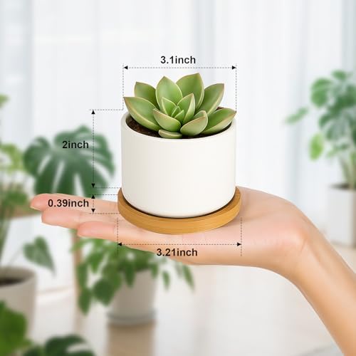 ZOUTOG 6 Pack 3.1" Ceramic Succulent Pots,White Planter with Drainage Tray - Image 2