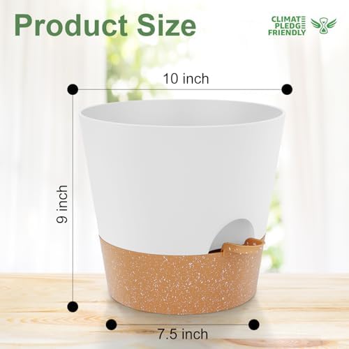 YNNICO 10 inch Plant Pots, Self-Watering Planters with Drainage Holes & Saucers for Indoor and Outdoor Plants (2-Pack,White - Image 4