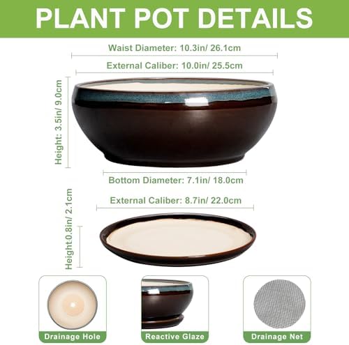 SQOWL Bonsai Tree Pots - 10 Inch Ceramic Succulent Pots with Drainage Hole and Saucer, Round Shallow Plant Pot Indoor Outdoor, Ceramic Bonsai Pot, Bowl Planter, Home Decor, Garden Gifts, Blue-Brown - Image 2