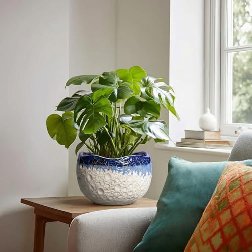 Ceramic Planter 8 Inch, Ceramic Plant Pots Indoor, Beige-Blue - Image 3