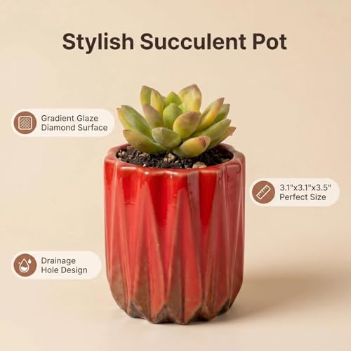 Succulent Plant Pots Ceramic Plant Pots and Drainage Hole Bonsai Planter Small Flower Pots for Indoor Outdoor Use for Home Office Garden Decoration,Plants Not Included (Red B) - Image 2