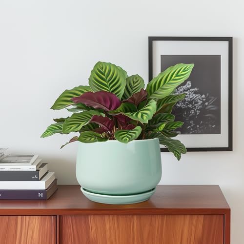 G EPGardening Ceramic Plant Pots, 6 Inch Pot for Plants, Green - Image 2