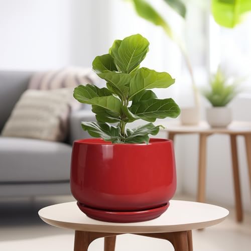 G EPGardening Ceramic Plant Pots - 9 Inch Flower pots for Indoor Outdoor Plant, Round Planter with Drainage and Saucer, Modern Home Decor, Gift for Women Men, Red - Image 4