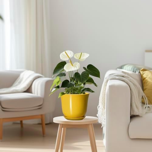 Ceramic Plant Pots - 5.6 Inch Planter with Drainage Hole and Saucer, Round Small Plant Pot for Indoor Outdoor, Modern Flower Succulent Orchid Pot, Desk Decor, Plant Lover Gifts, Yellow - Image 7