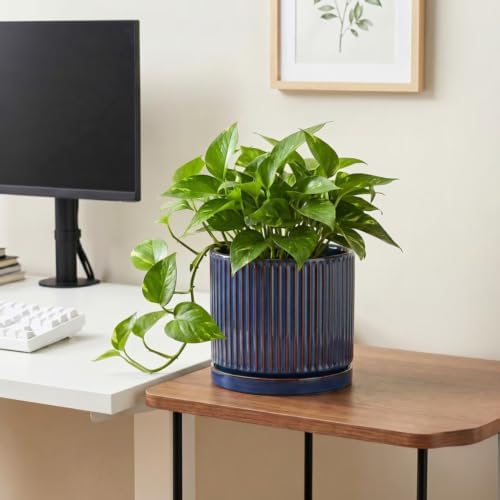 8 Inch Plant Pot, Ceramic Planters with Saucer, Retro Blue - Image 5