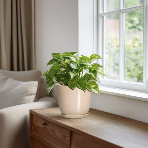 Ceramic Pots for Plants, 5.6 Inch Plant Pot with Drainage, Beige - Image 5