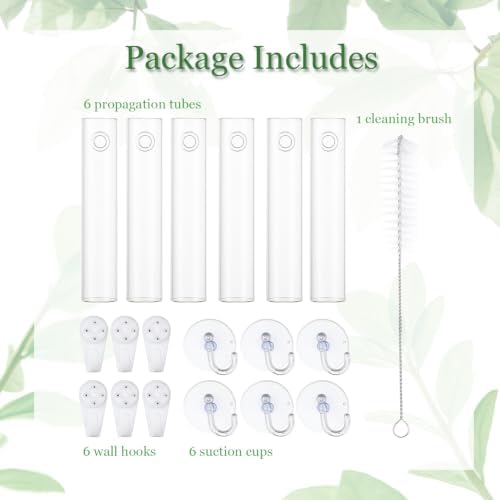 Bunmery 6 pcs Window Propagation Stations, Plant Propagation Tubes with suckion Cups & Nails, Easy to Install Wall Hanging Planter Propagation Station, Glass Plant Terrarium Vase - Image 7
