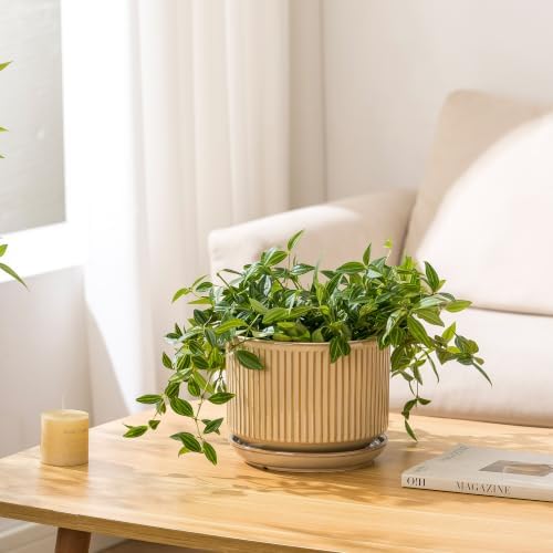 SURE YUESI Ceramic Plant Pots Set of 3, Indoor Outdoor Planters with Drainage Hole and Saucer, Ceramic Flower Pots for Indoor Plants, 4.3+5.5+6.8 Inch, Home, Garden, Patio and Office, Glossy Beige - Image 4