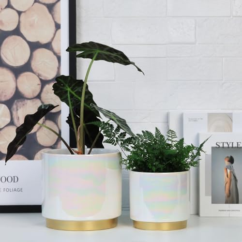 Gepege White Indoor Plant Pots for Plants, Ceramic Planter with Drainage Hole, 7.6 Inch +6 Inch 2pcs Succulent Orchid Flower Pot - Rainbow Pearl Glaze - Image 3