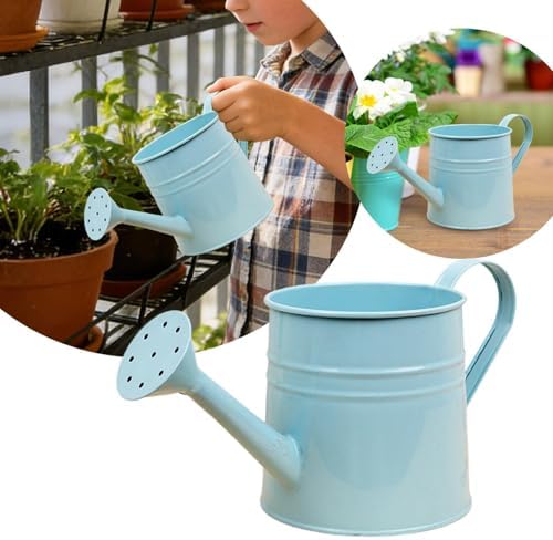 Small Watering Can, 1L Metal Flower Garden Watering Can, Gardening Tool Accessories for Outdoor Indoor Plants Lawn (Light Blue) - Image 6