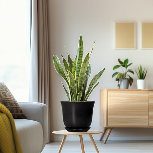 8 Inch Plant Pot - Ceramic Pots for Plants with Drainage Hole and Saucer, Round Planter for Indoor Outdoor, Modern Flower Pot, Gifts for Plant Lovers, Home Room Garden Porch Decor, Black - Image 5