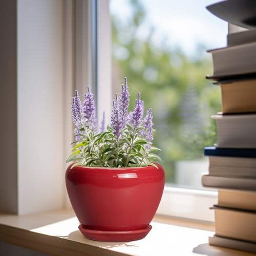 Ceramicfor 6 Inch Plant Pot - Glaze Modern Ceramic Planter for Indoor Plants, Succulent Pot with Drainage Hole and Saucer, Office Garden Home Decor, Housewarming Gift, Red - Image 2