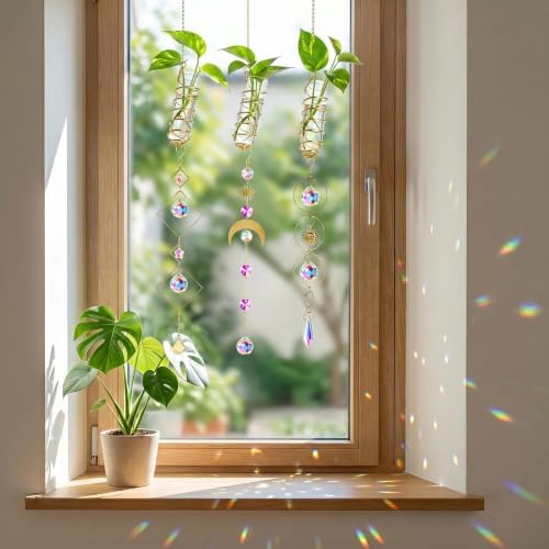 3pcs Crystal Suncatchers with Plant Propagation Tubes for Window Wall - Image 4