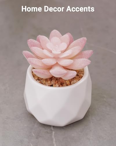 VIVERIE Mini Succulents Plants Artificial in Pots-Rose Pink, Christmas Small Fake Succulents Plants for Home Decor Indoor for Women, White Ceramic Faux Succulents, Set of 1, Gifts for Mom - Image 6