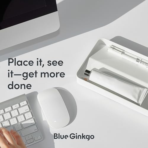 BLUE GINKGO Desk Organizer Tray, White, Made in Korea - Image 4