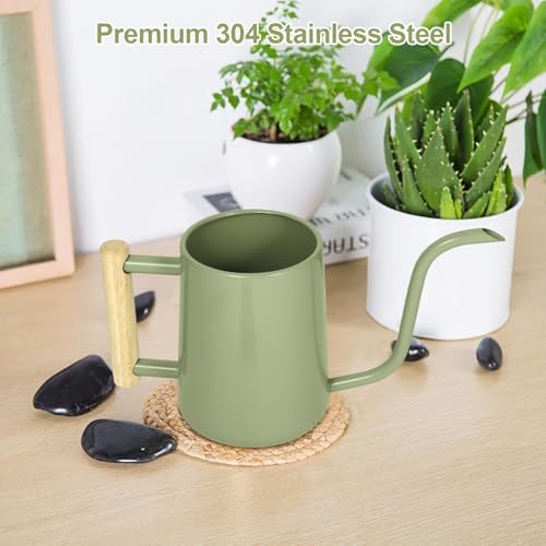 Watering Can Indoor Plants, 35 oz/1000 ml Metal Stainless Steel Watering Can Pot with Long Spout for Indoor House Plants Bonsai Outdoor Garden Flower Decorative (Sage Green) - Image 5