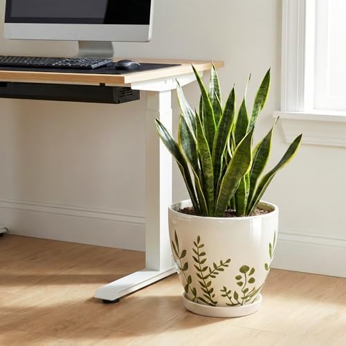 MPotTo 10 Inch Plant Pot - Ceramic Planter for Indoor Outdoor Flowers, Decorative Round Indoor Flower Pot with Drainage Hole and Saucer, Plant Lover Gifts, Garden Patio Home Office Decor, White - Image 4