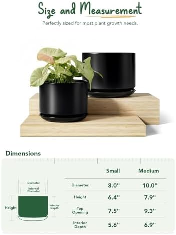 LE TAUCI Ceramic Plant Pots, Set of 2, 8+10 Inch Plant Pots Indoor with Drainage Hole & Saucer, Sturdy Planters for Indoor Plants, Modern Minimalist Decor for Snake Plant, Monstera, Black - Image 5