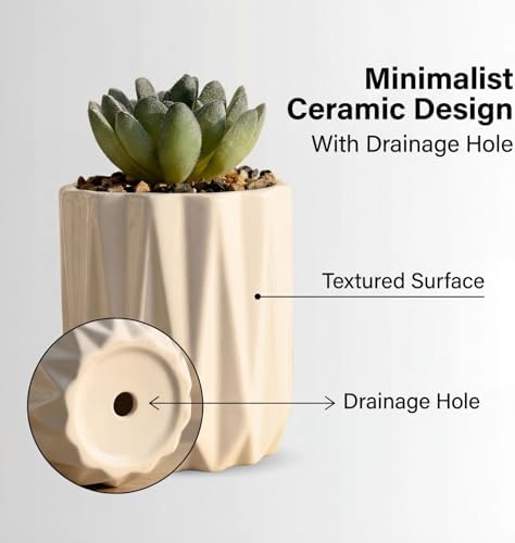 Succulent Plant Pots Ceramic Plant Pots and Drainage Hole Bonsai Planter Small Flower Pots for Indoor Outdoor Use for Home Office Garden Decoration,Plants Not Included (White) - Image 2
