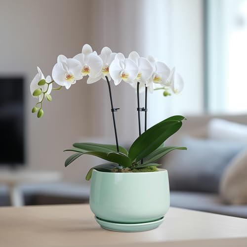G EPGardening Ceramic Plant Pots, 6 Inch Pot for Plants, Green - Image 5