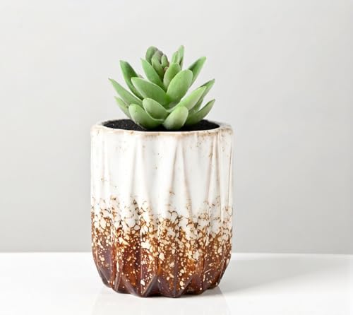 Modern Textured Ceramic Succulent Planter Pot – (No Plant Included) – Perfect for Small Plants, Cacti & Desk Decor – Lightweight & Durable，White - Image 2