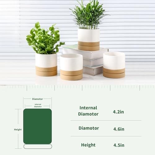 HASENSE Small Plant Pots, 4.6 Inch Ceramic Flower Pots with Two-Tone Glaze Design, Indoor Outdoor Planter with Drainage Hole and Saucer, Cute Tabletop Decor, 4 Pack, White-Brown - Image 3