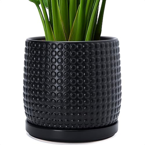 D'vine Dev Beaded Ceramic Pot with Saucer, 10 in, Ebony Matte, 27-C-P-6 by DvineDevPlanterPotsandStand