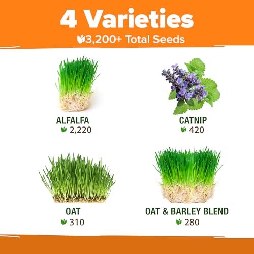 HOME GROWN Indoor Cat Grass Refill 3,200+ Seeds Cat Grass Kit Replacement - Image 3