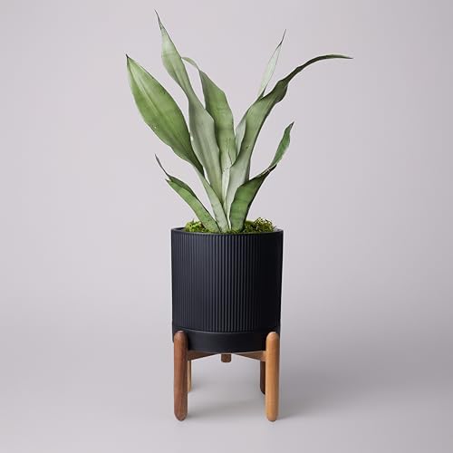 HERDUK 8 Inch Ceramic Planter with Natural Wood Stand w/Drainage & Saucer - Modern Indoor Planter for Cacti, Snake Plants & Aloe Vera Black by Herduk