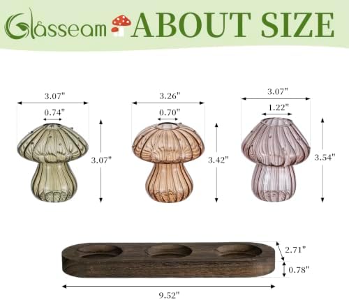 Glasseam Mushroom Plant Propagation Station: 3 Pcs Glass Terrarium Jar - Image 5