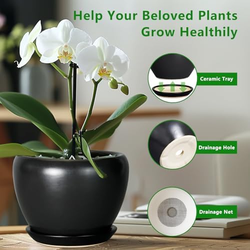 Ceramicfor Ceramic Pot for Plants, 10 Inch Plant Pot, Black - Image 5