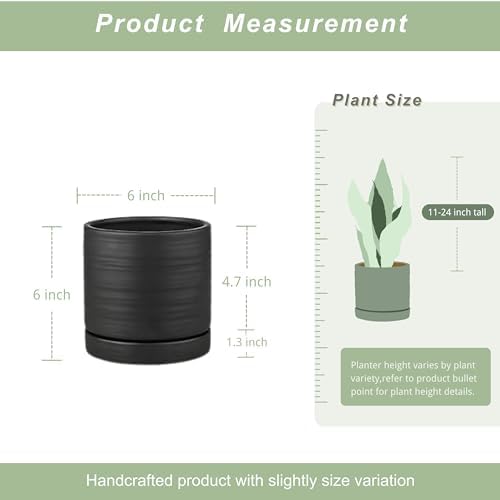 HERDUK 6 Inch Plant Pots, Ceramic Planter Pot with Drainage Hole & Saucer, Indoor/Outdoor Cylinder Round Planter Pot, Matte Black - Image 3