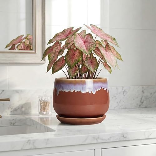 Ceramic Pots for Plants 7 Inch - Ceramic Planters for Indoor Plants, Indoor Plant Pots with Drainage and Saucer, Decorative Round Flower Pot, Garden House Room Decor, Plant Gifts, Red-Purple - Image 6