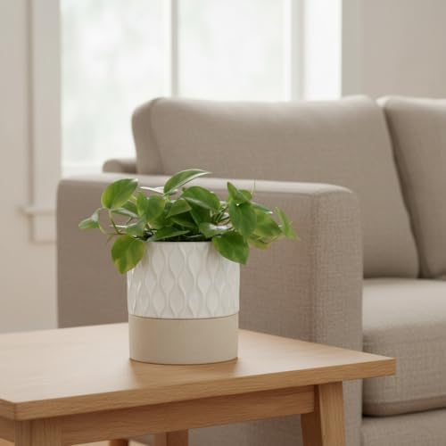 Nihow Self Watering Ceramic Plant Pot, 4.5 Inch, Cream White & Brown Net - Image 5