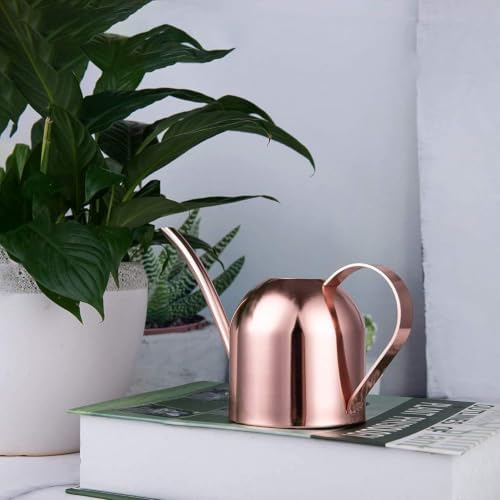 IMEEA Mini Indoor Watering Can for Small Plants, Stainless Steel with Long Spout, 15oz/450ml – Perfect for Desk, Windowsill & Bonsai - Image 6