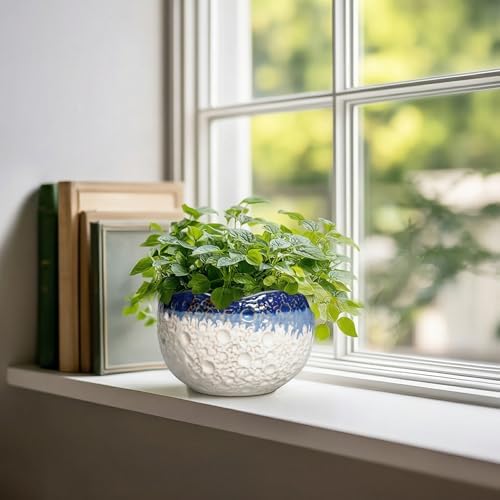 Ceramic Plant Pots, 6 Inch Orchid Pot with Drainage, Beige-Blue - Image 3
