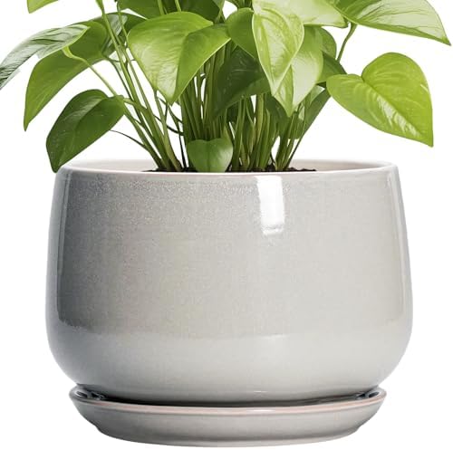 G EPGardening Ceramic Plant Pots 9 Inch, Light Grey by GEPGardening