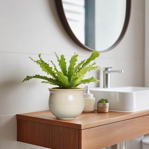 6 Inch Self Watering Pots for Indoor Plants, Ceramic African Violet Pots with Absorbent Inner Pot, Easy Self Watering Planter, Round Ceramic Flower Pot, Patio Decor, Gardening Gifts, Beige - Image 5