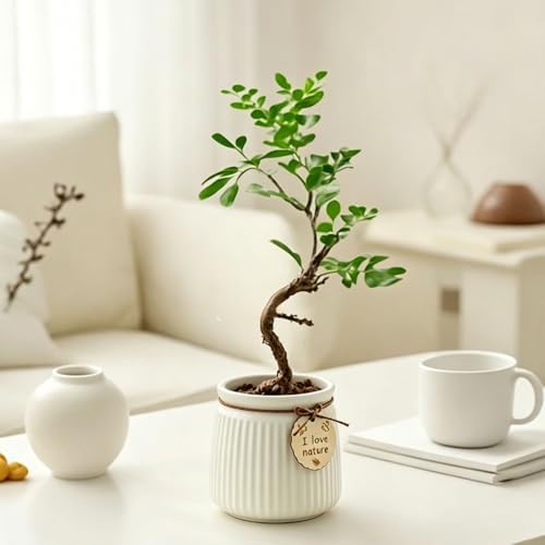Pastel Ceramic Succulent Pots, Small Mini Flower Planter Pots with Jute Tag, Decorative Indoor Cactus Plant Container for Home Windowsill Desktop Decor (White) - Image 6