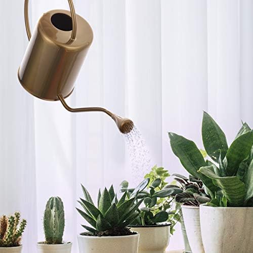Yowon 1/2 Gallon 68oz Long Spout Stainless Steel Gold Colored Watering Can for Indoor Plant Watering or Outdoor Gardening with 2 Removable Spray Spout for Flowers - Image 6