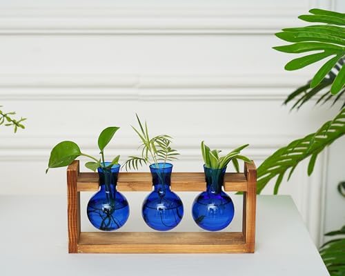 Kingbuy Glass Plant Terrarium Propagation Station - 3 Bulb Colored Vases with Retro Wood Stand Indoor Garden Planter - Wall Mounted & Desktop Decor for Home Kitchen Wedding, Gift for Plant Lover, Blue - Image 3