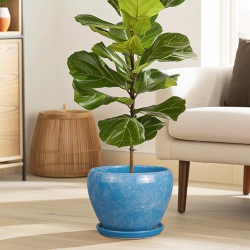 Ceramicfor Ceramic Planter, 8 Inch Plant Pot, Blue - Image 4
