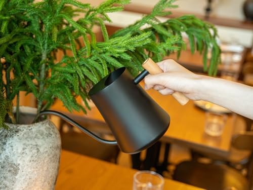 Green Moon 1L/35oz Metal Watering Can Indoor with Long Spout, Black - Image 5
